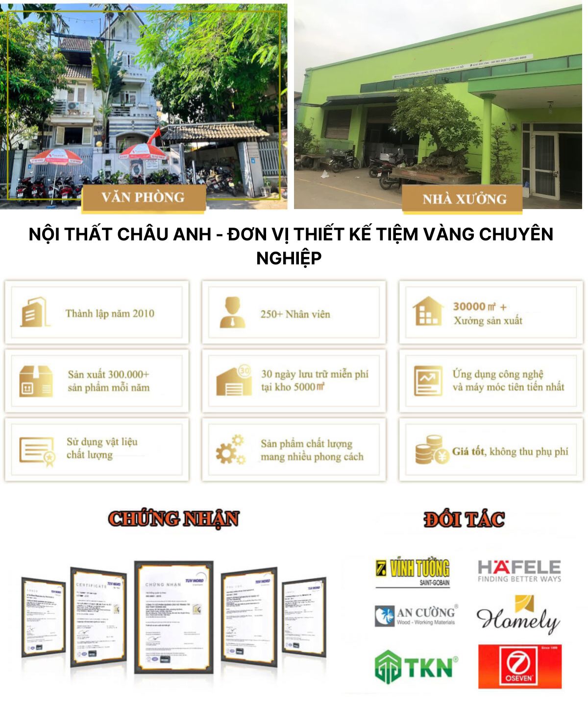 Giới thiệu công ty